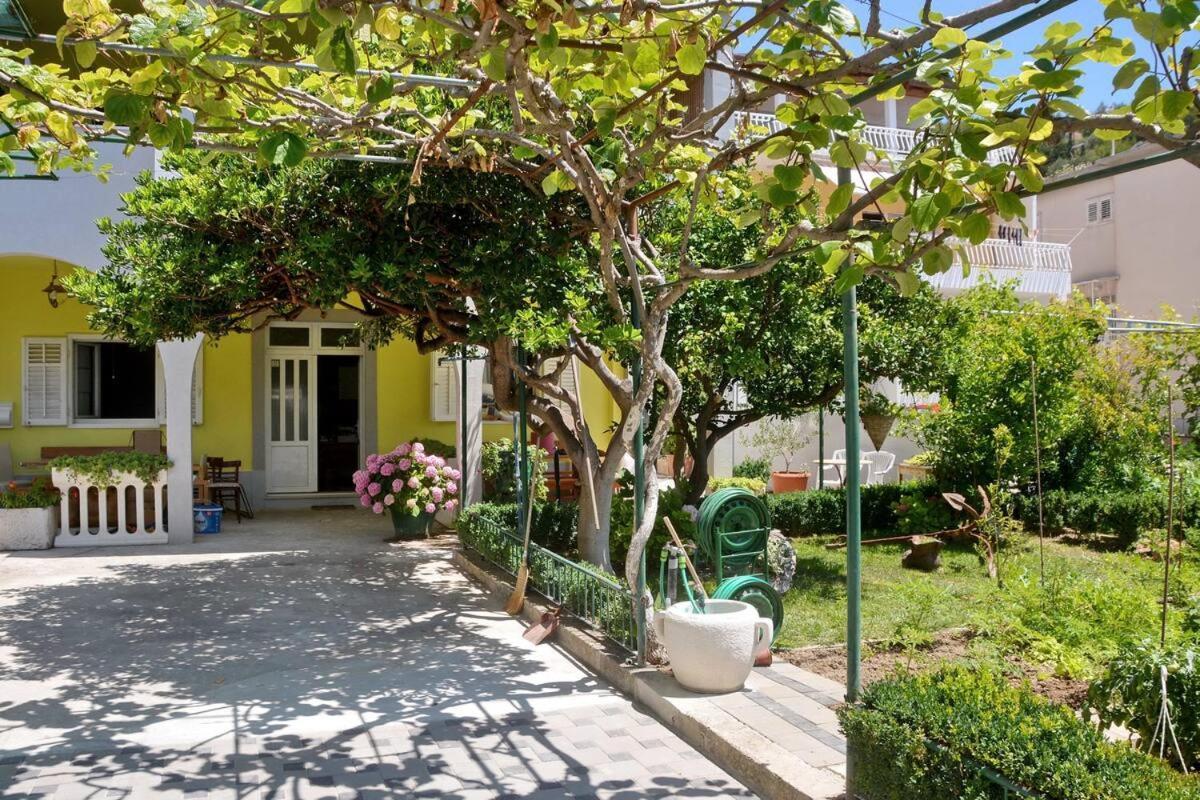 ז'סניסה Villa Vlade- From The Heated Pool To The Beach In 1 Minute מראה חיצוני תמונה